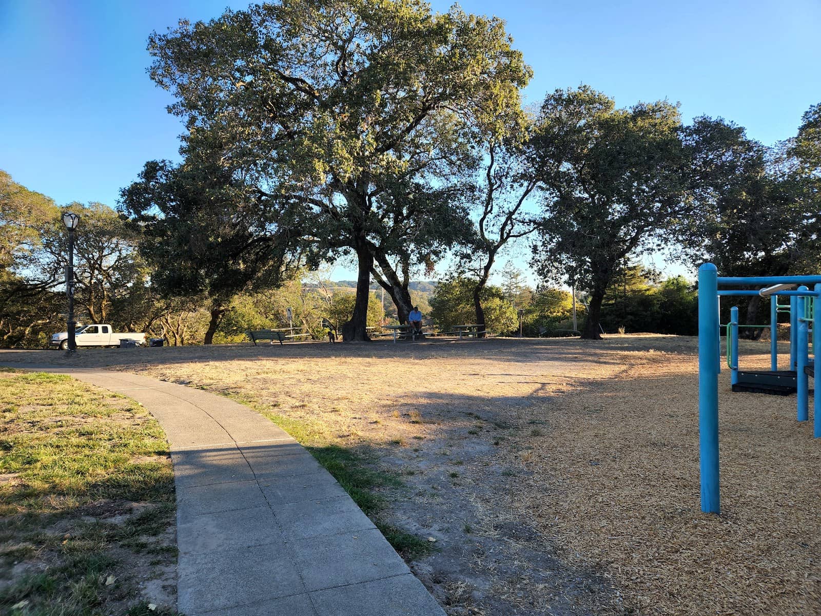 Dedicated Dog Park