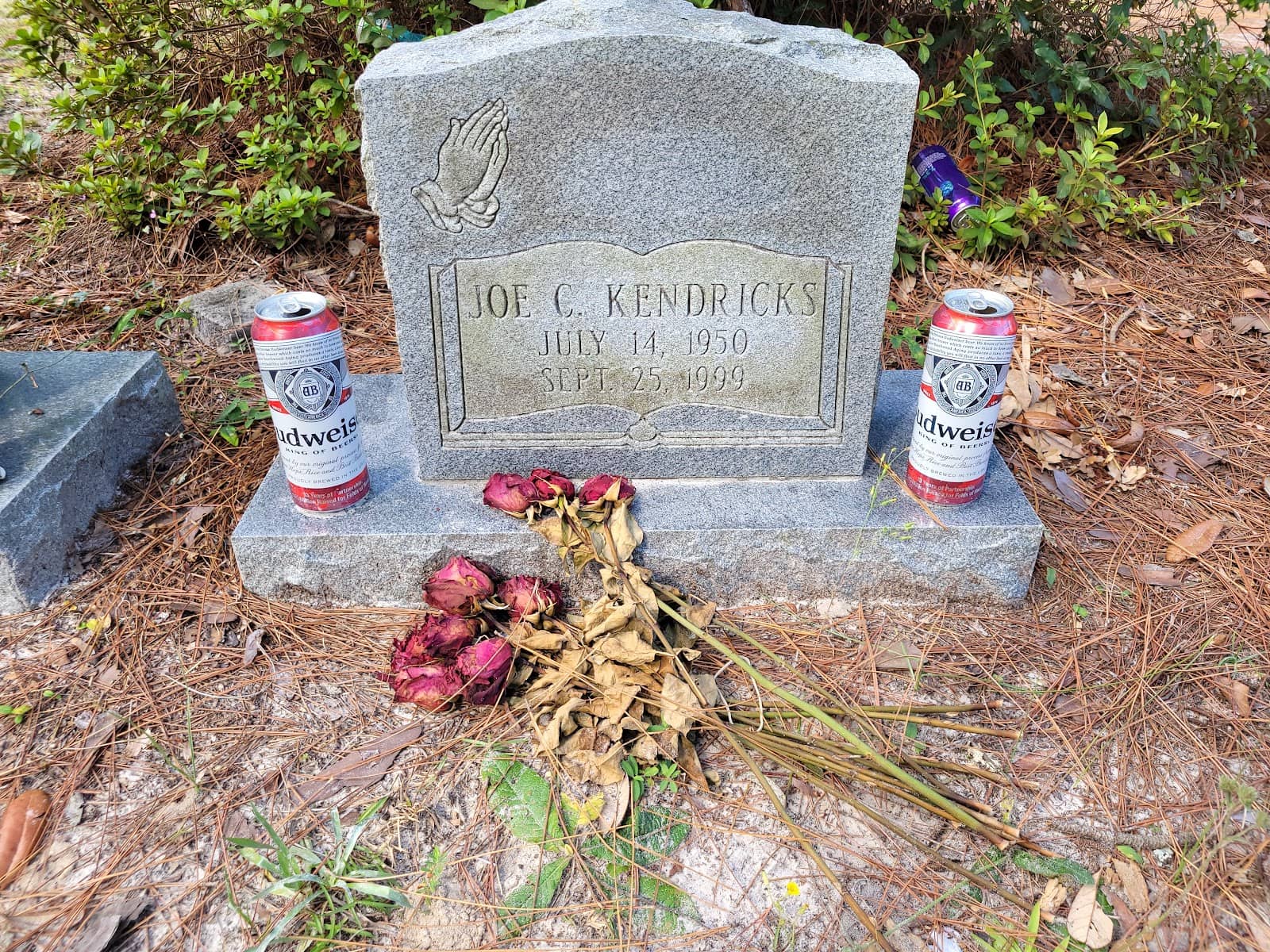 Reflective Walking Paths