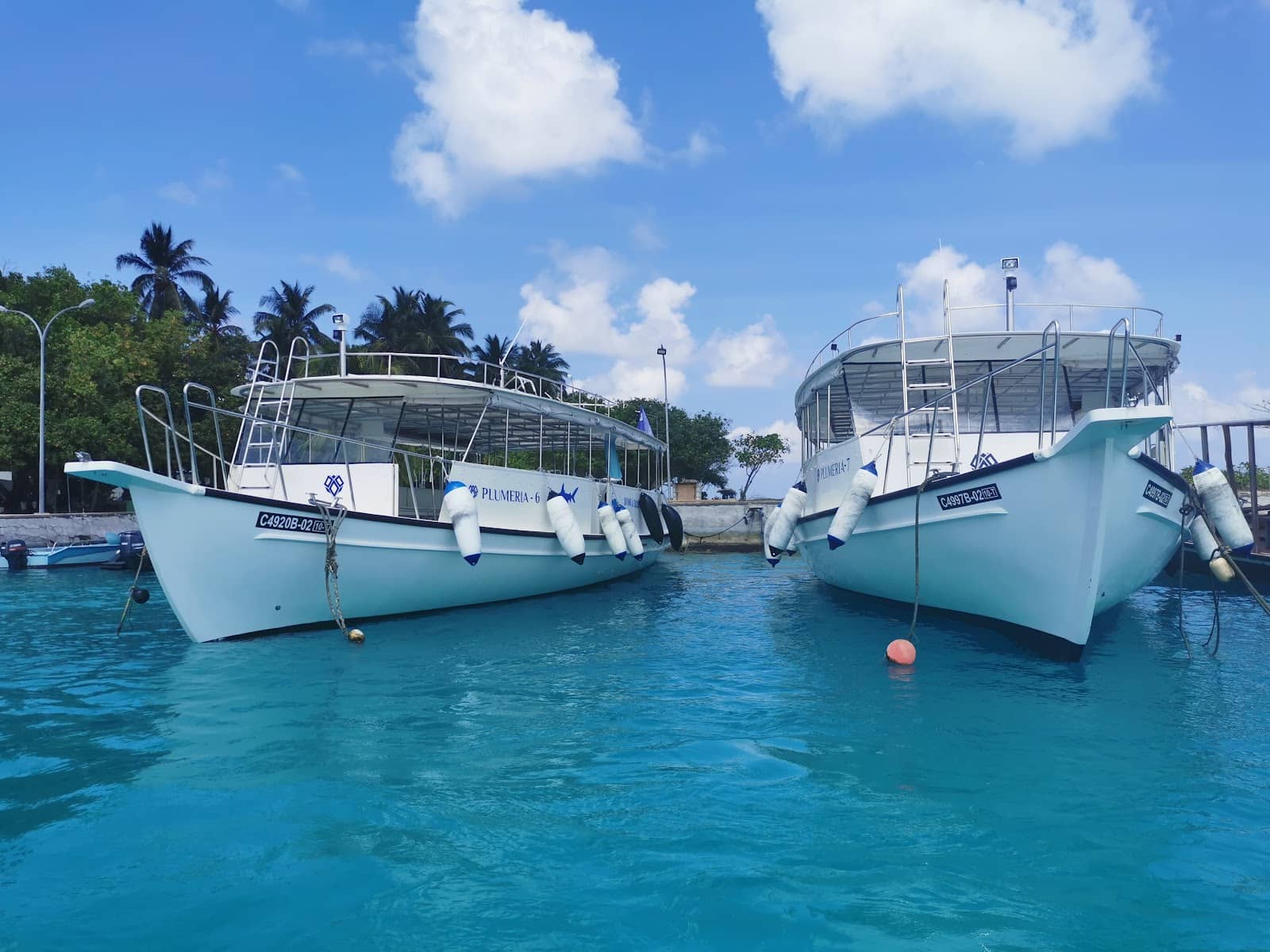 Crystal Clear Snorkeling Waters