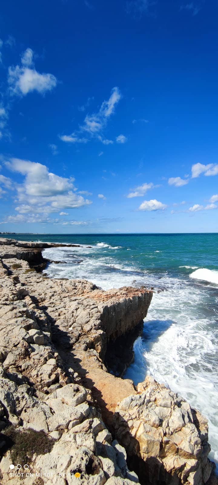 Il Gavetone Bar & Pizzeria