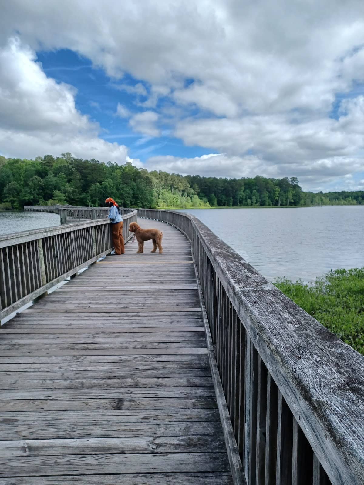 Interactive Exhibits