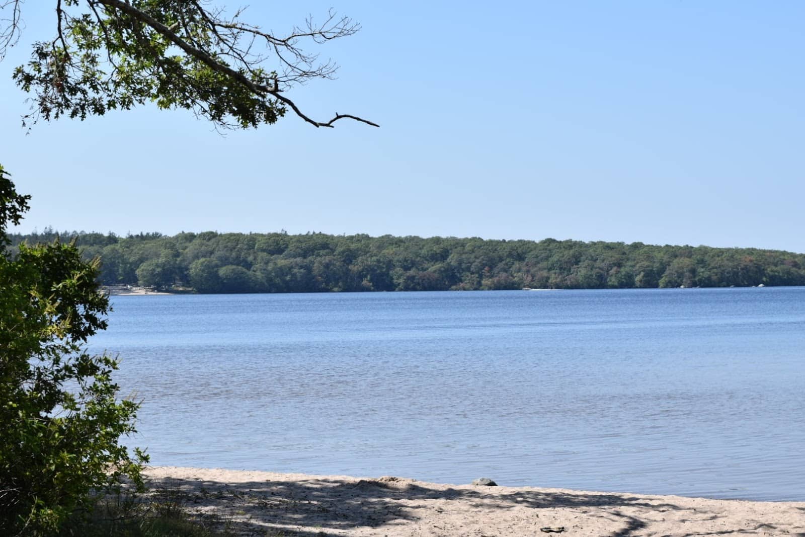 Spacious Campsites