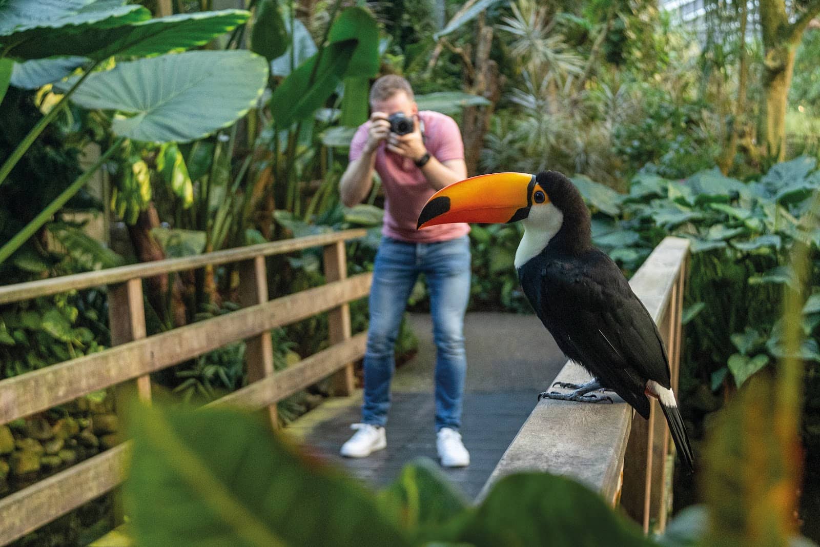 WinterDream Candlelit Nights