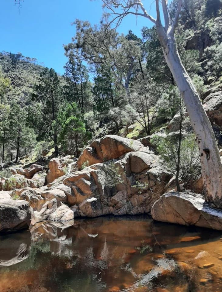 Telowie Gorge Conservation Park - Image 1