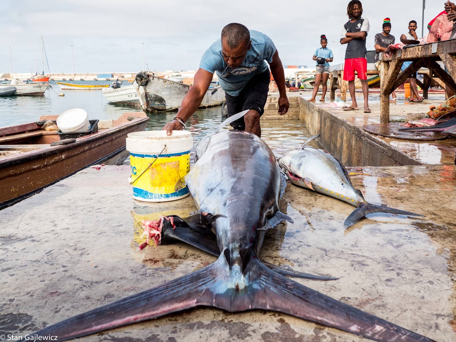 Porto da Praia Views