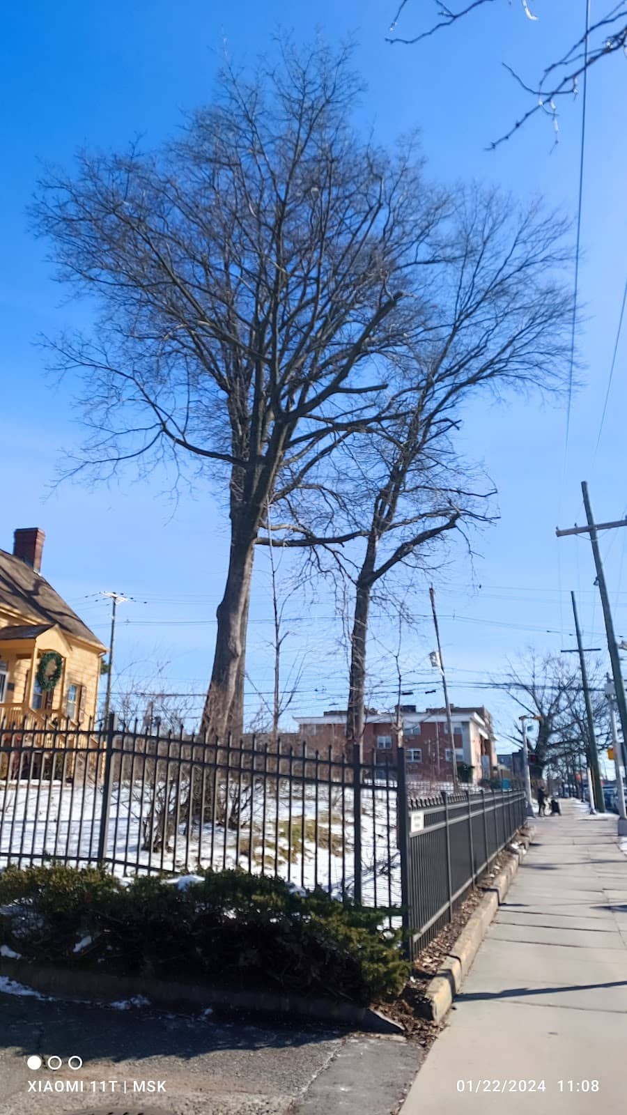 Butler Street