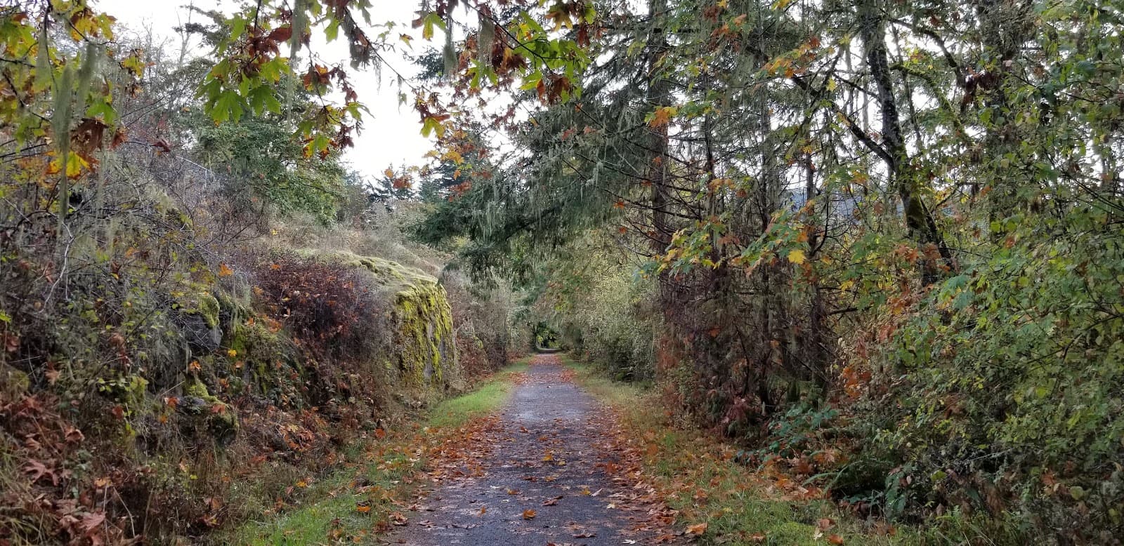 Roche Cove Regional Park - Image 1
