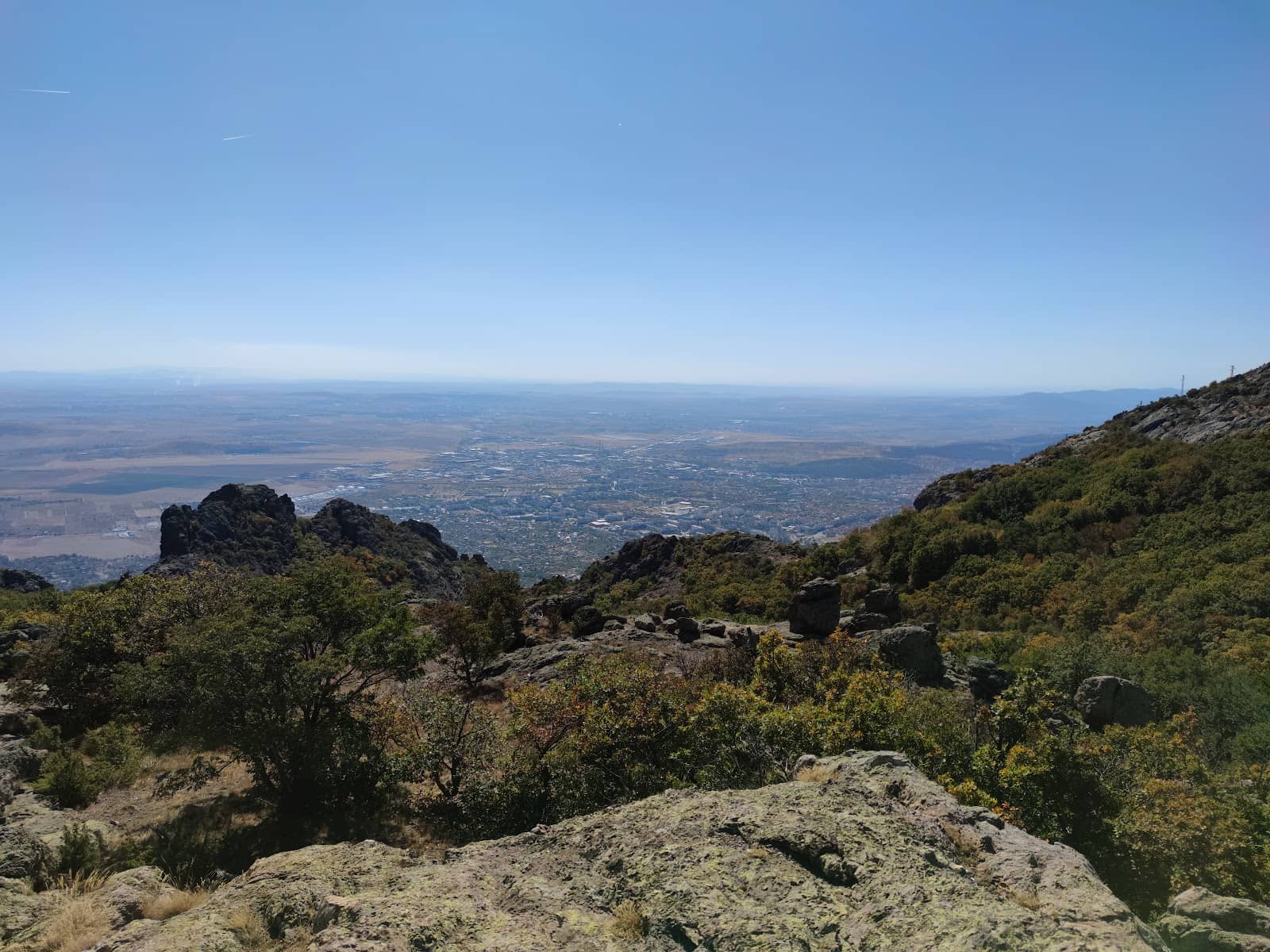 Vertical photo