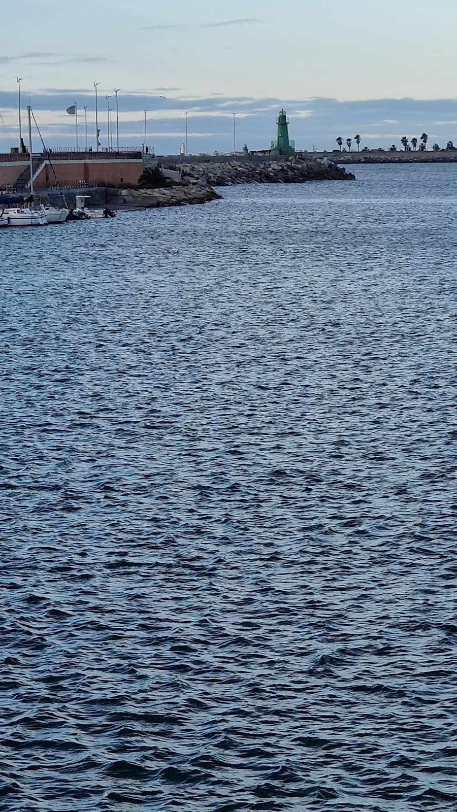 Vertical photo