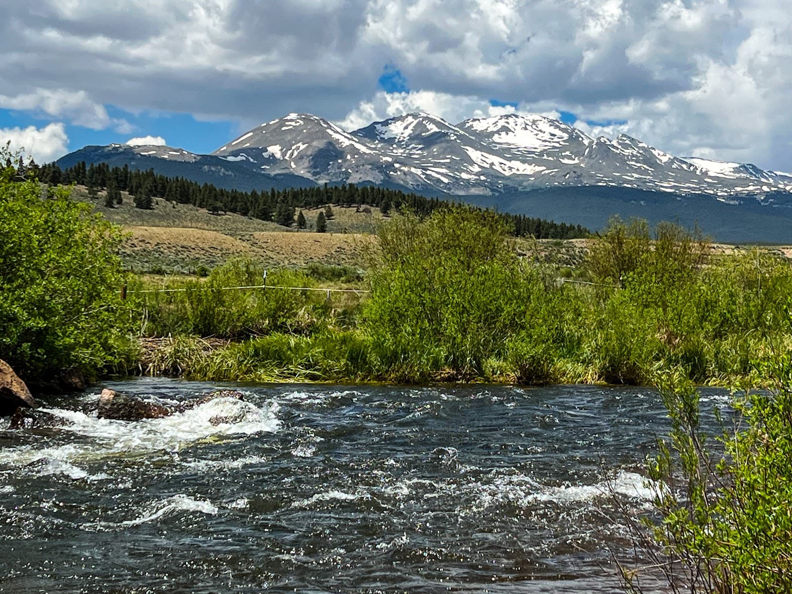 Arkansas River Headwaters (Hayden Meadows) - Image 1