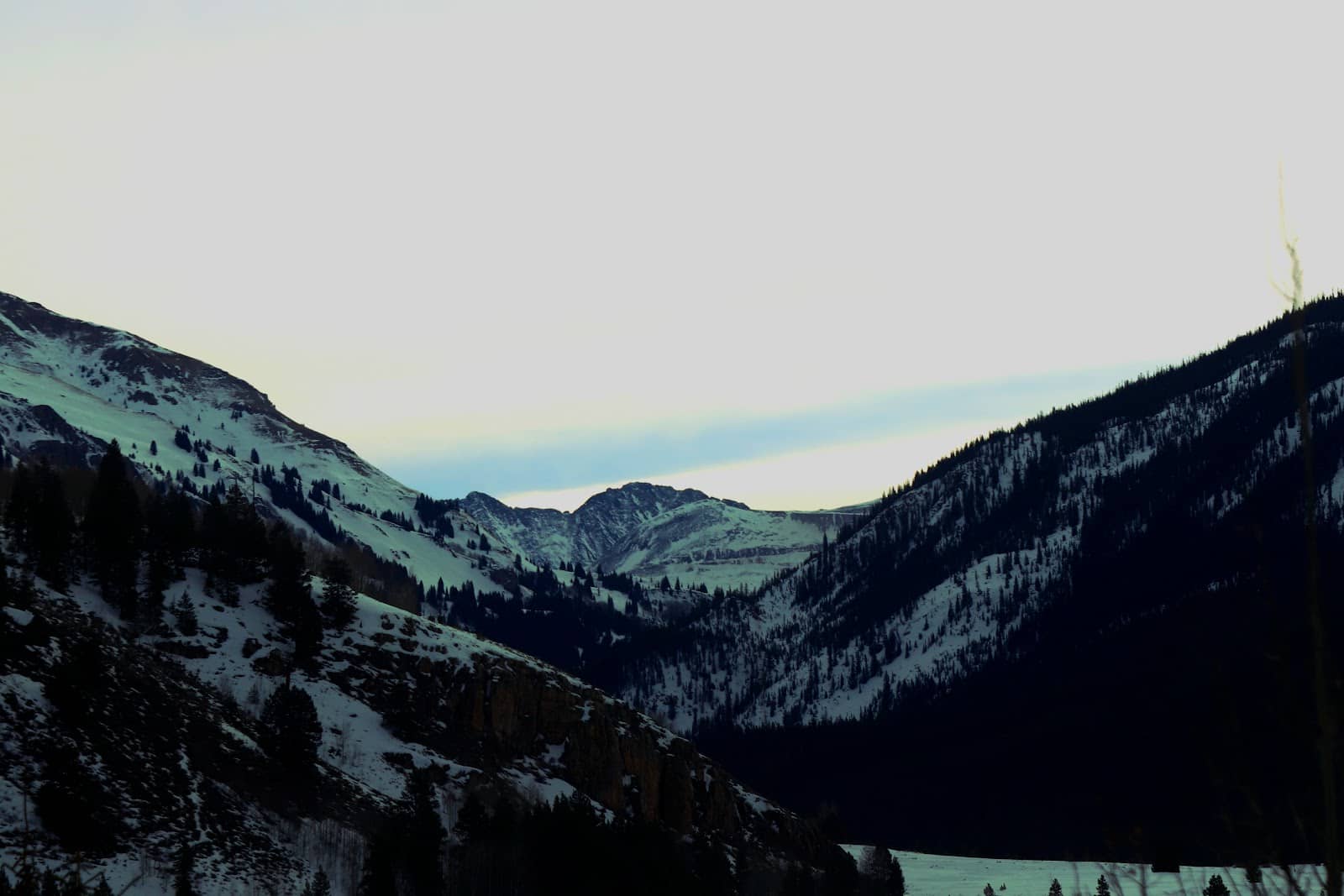 Vertical photo
