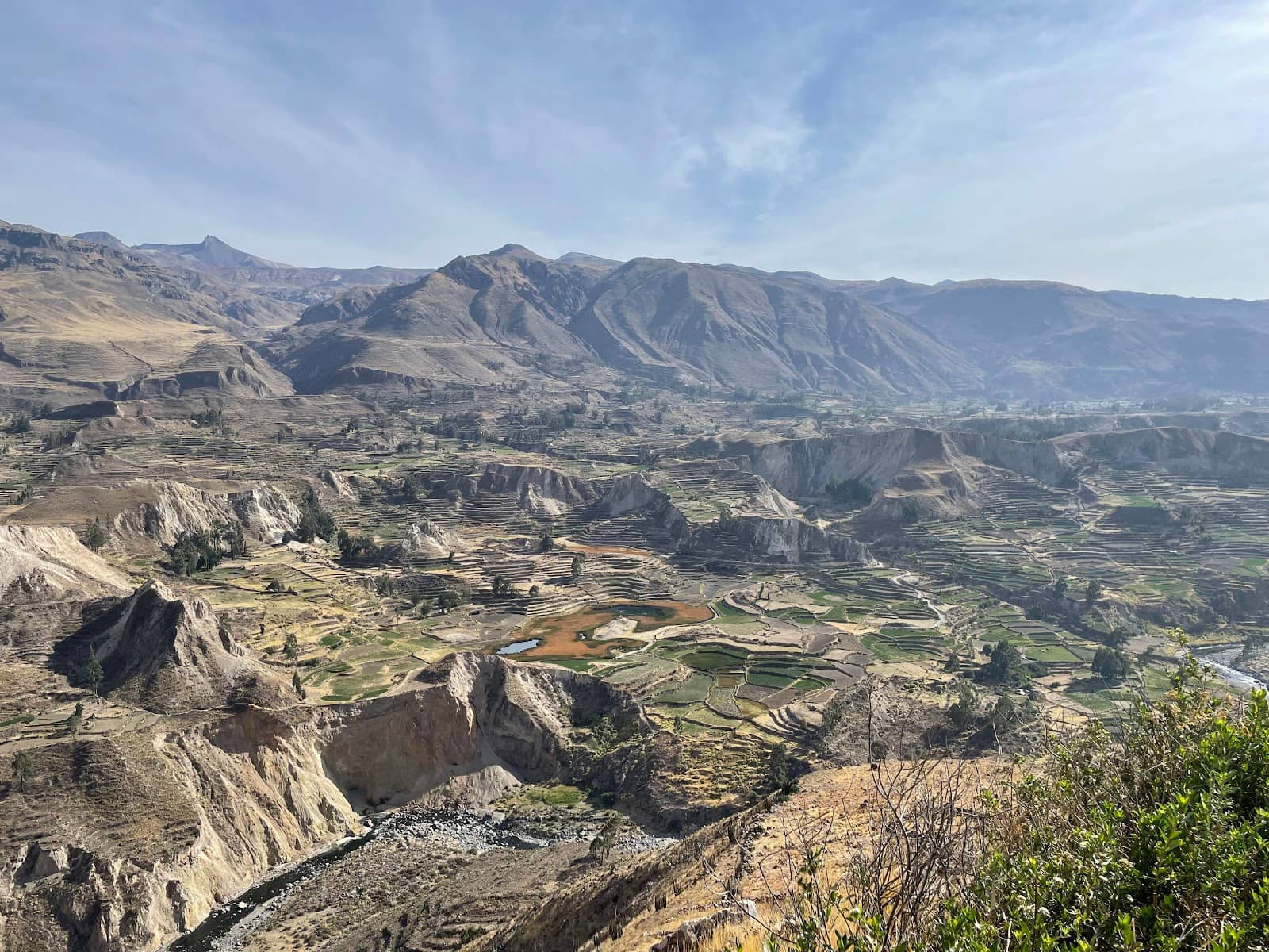 Colca Sours and Local Hospitality