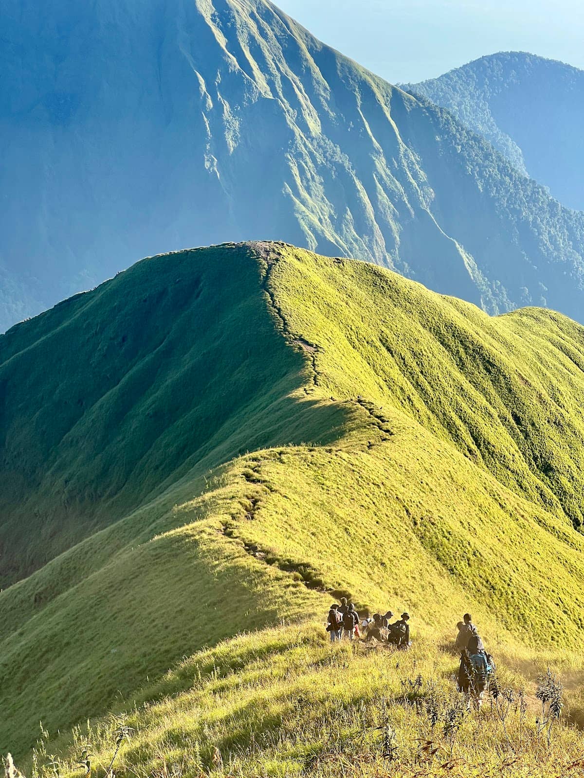 Vertical photo