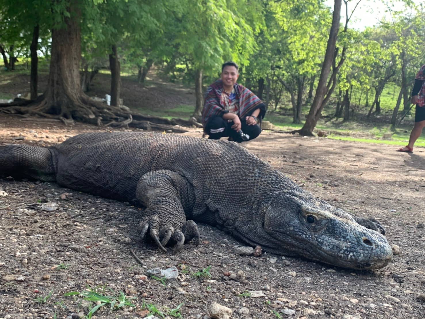 Rinca Island Landscape