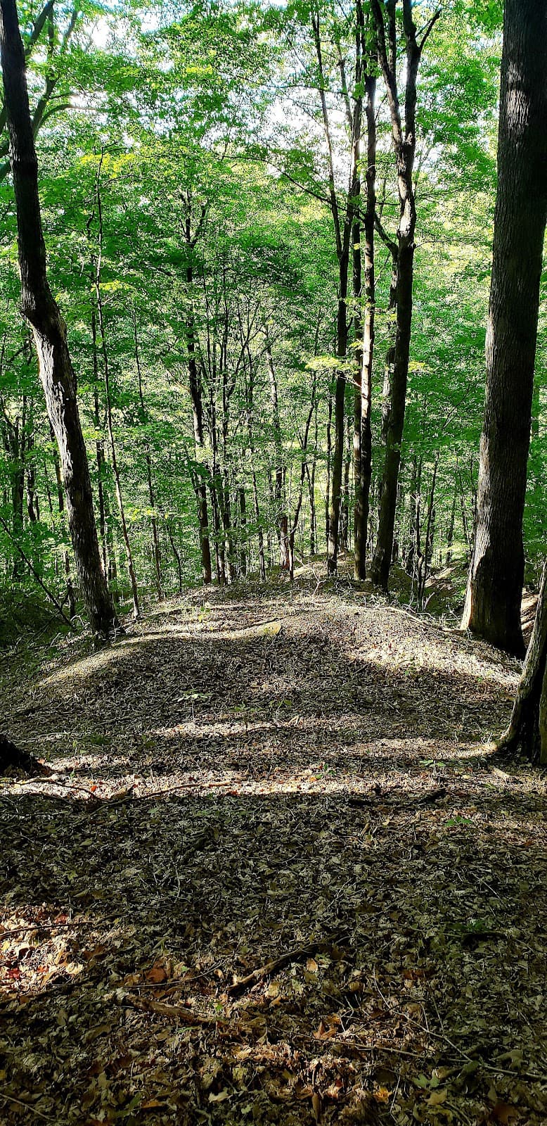 Spruce Hill Earthworks Preserve - Image 1