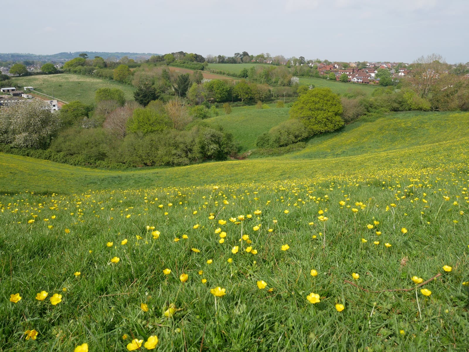 Ludwell Valley Park - Image 1