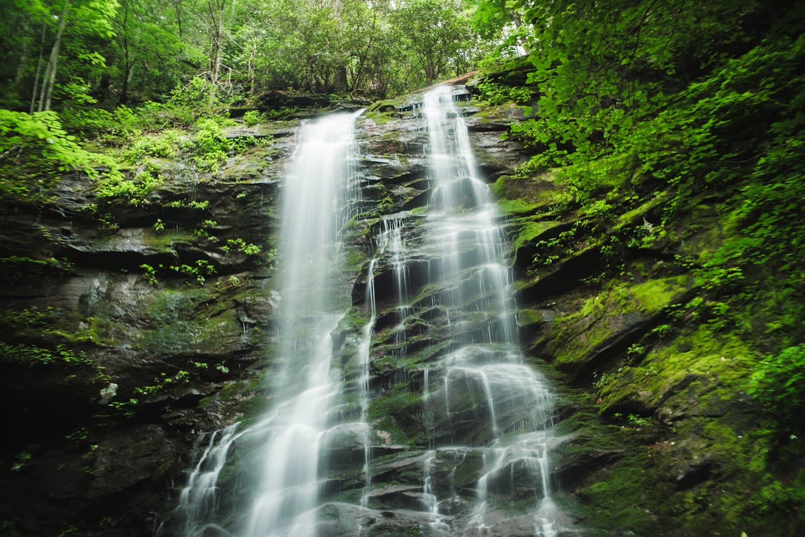 Sill Branch Falls - Image 1