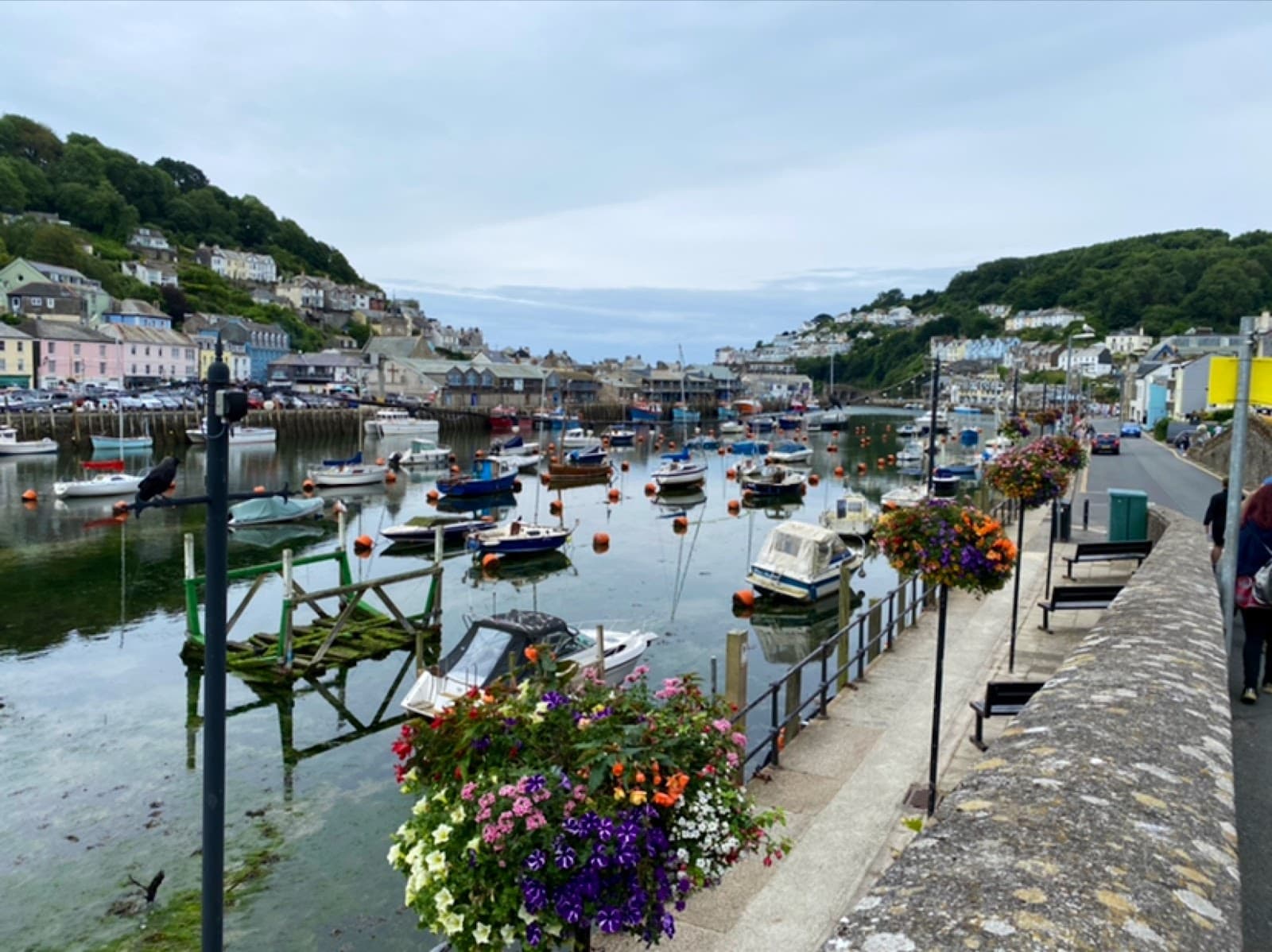 Looe Harbour - Image 1