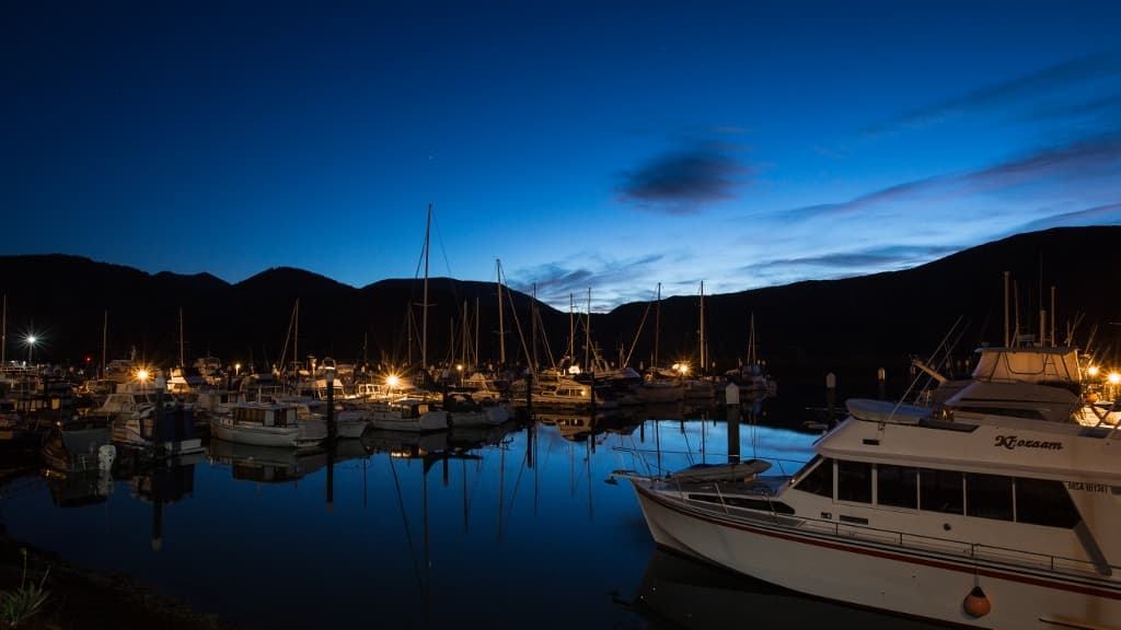 Havelock Marina and Mussel Cruises - Image 1