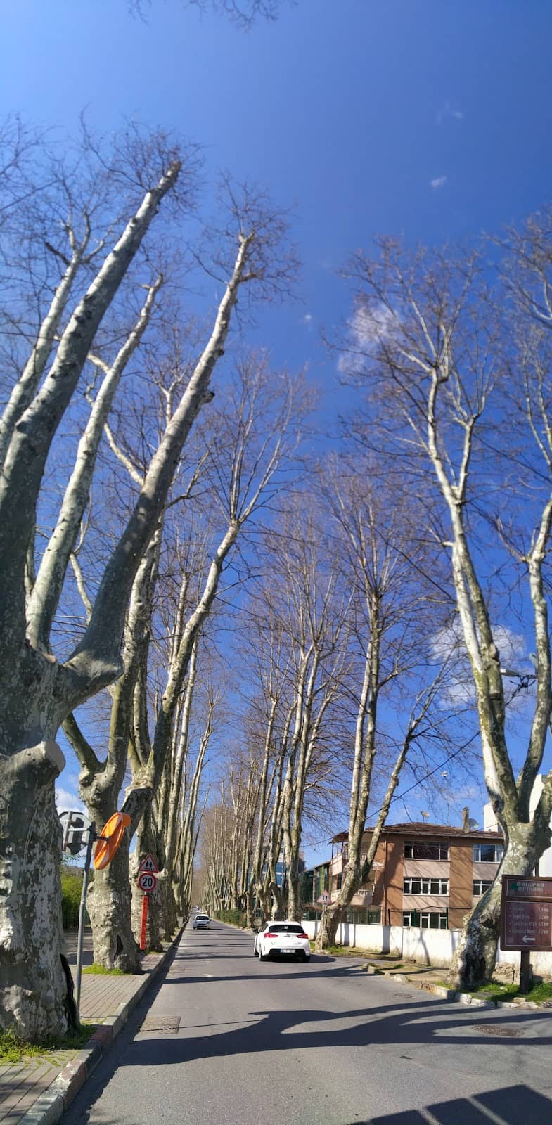 Vertical photo