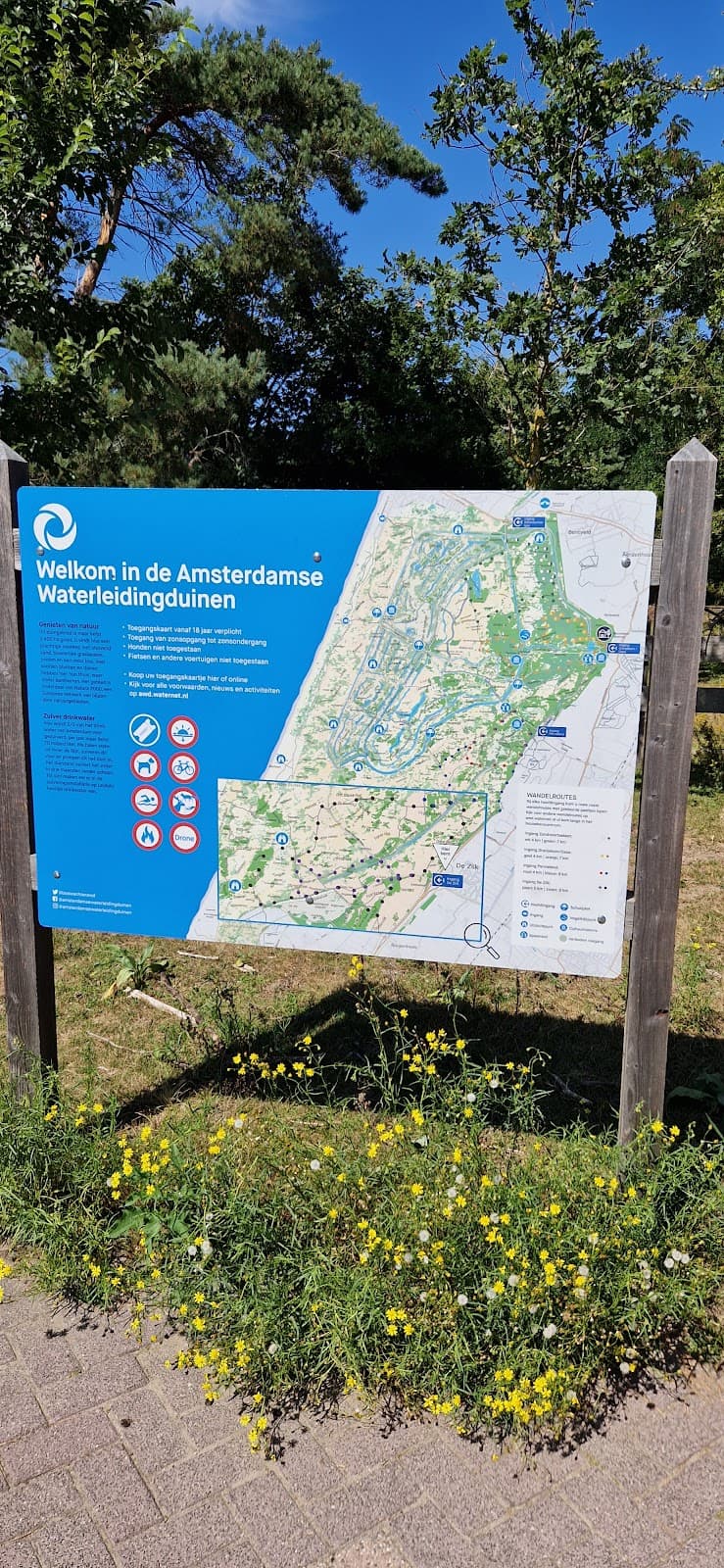 Amsterdamse Waterleidingduinen – De Zilk - Image 1