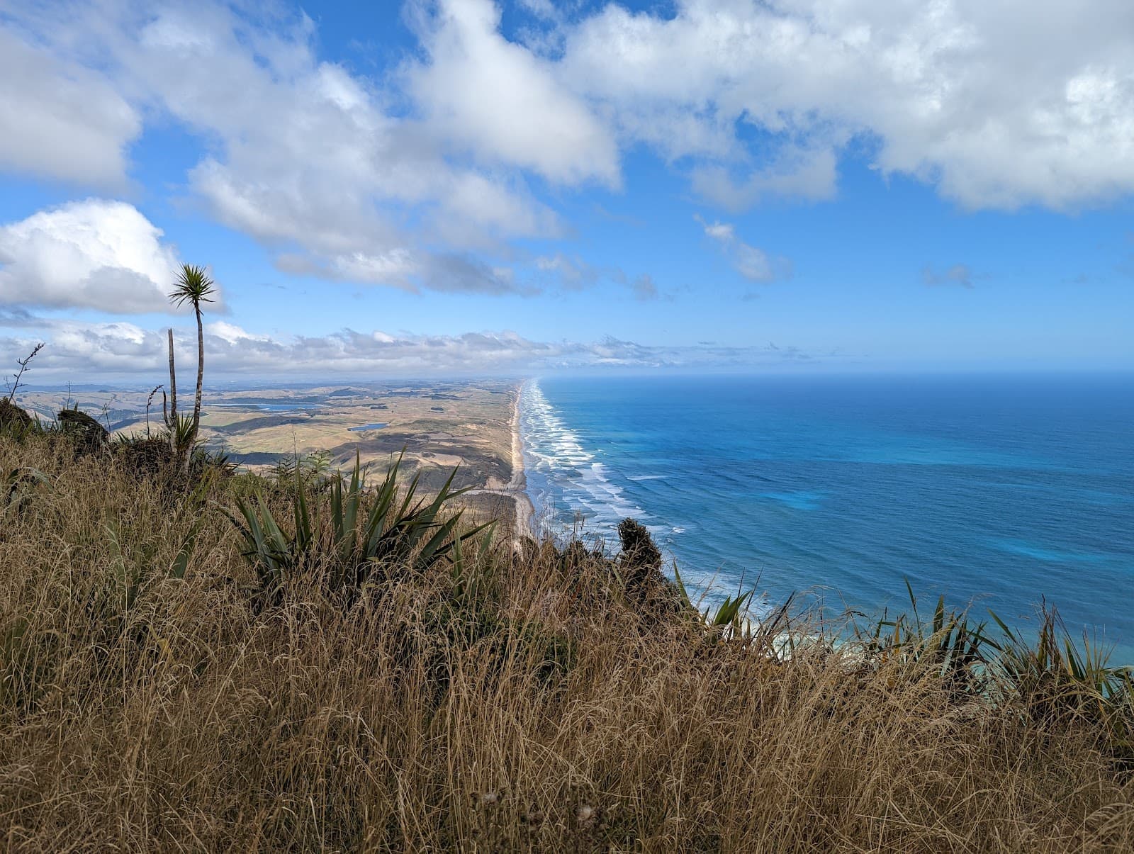 Maunganui Bluff Track - Image 1