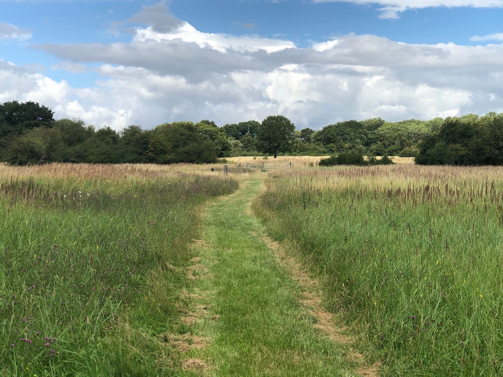 Castor Hanglands National Nature Reserve - Image 1