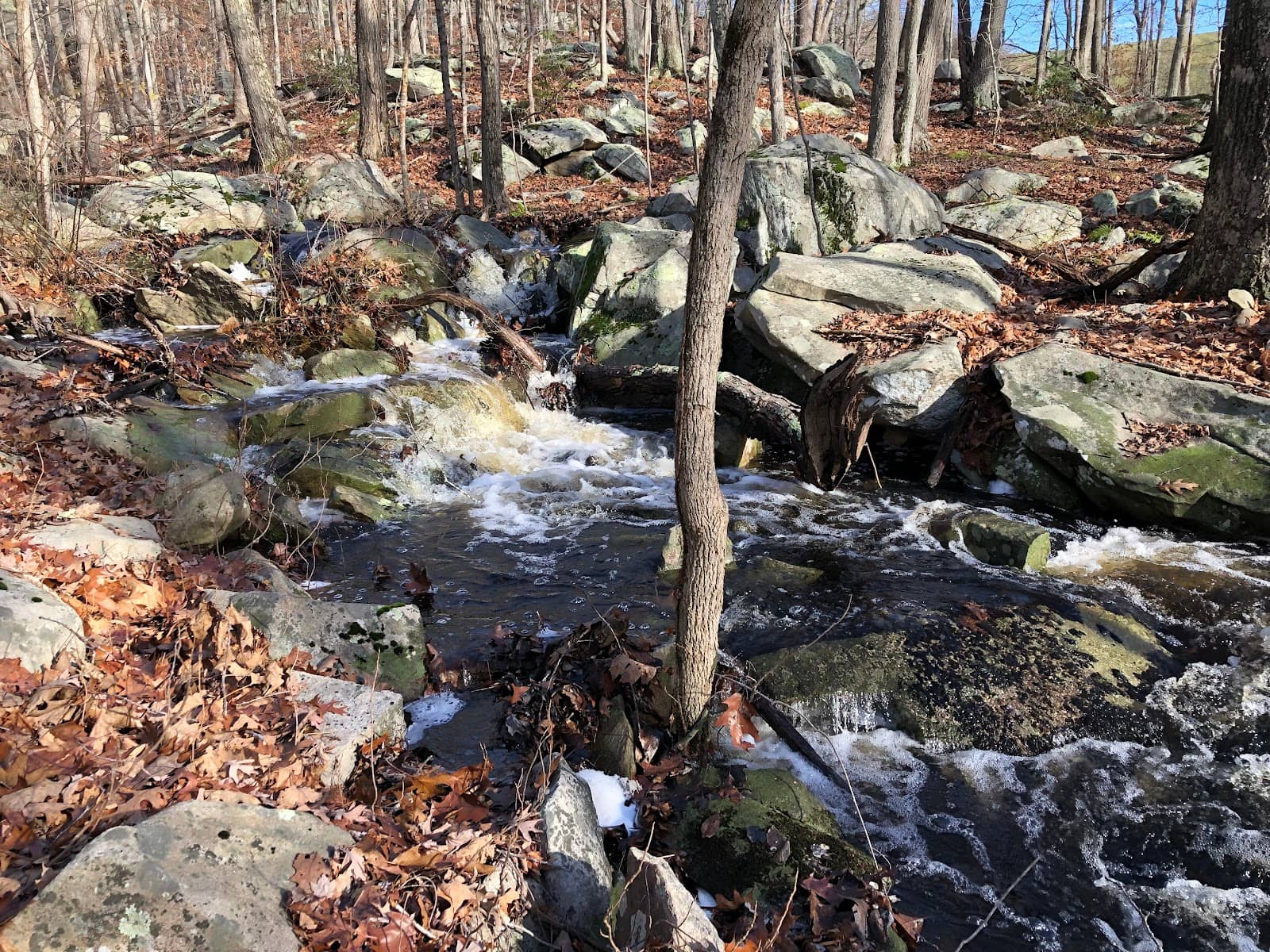 Hunting Opportunities