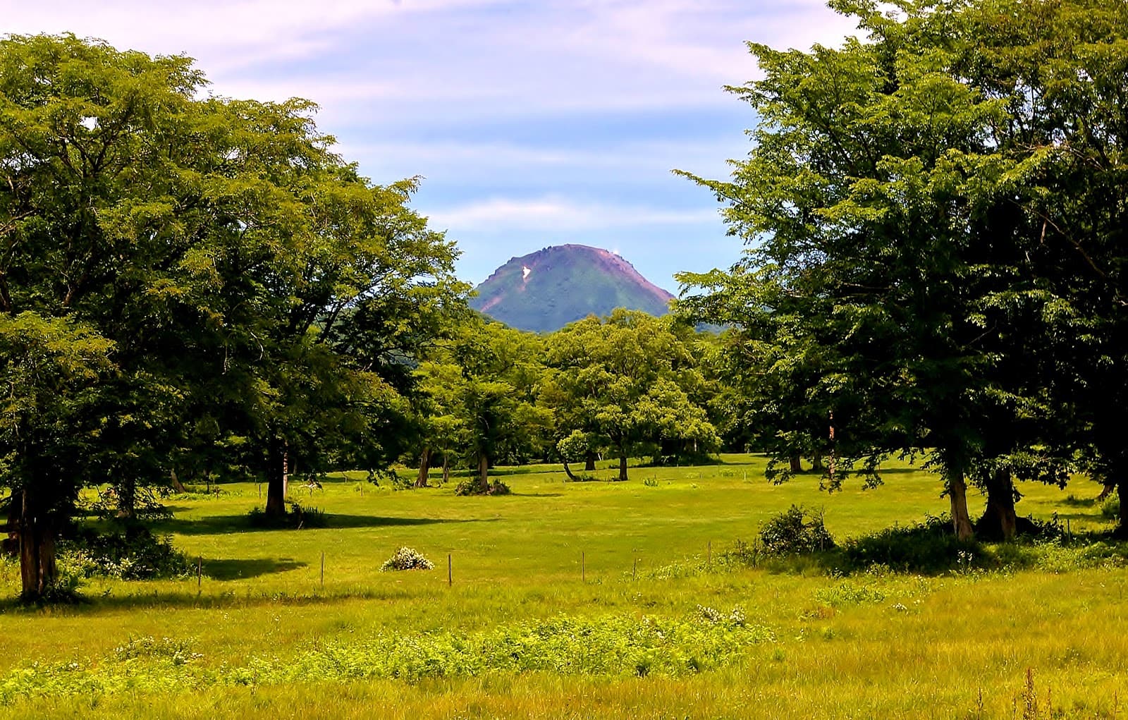Sasagamine Plateau - Image 1