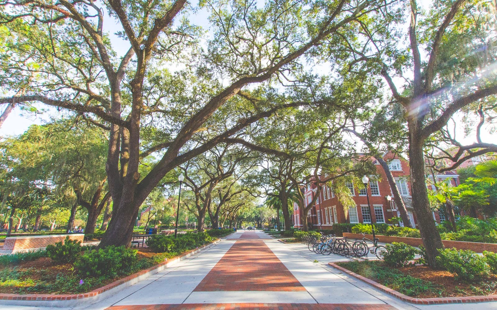 Plaza of the Americas - Image 1