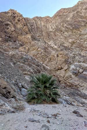 Vertical photo