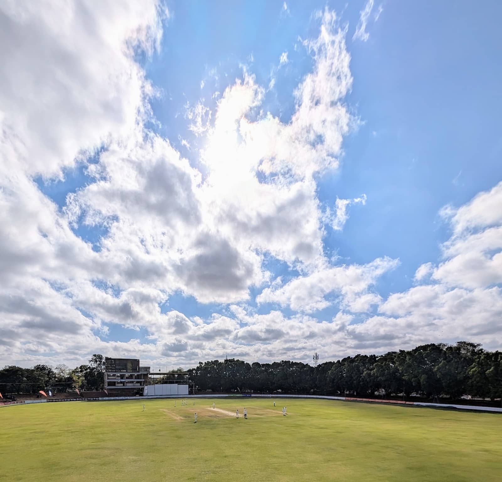 The Pitch