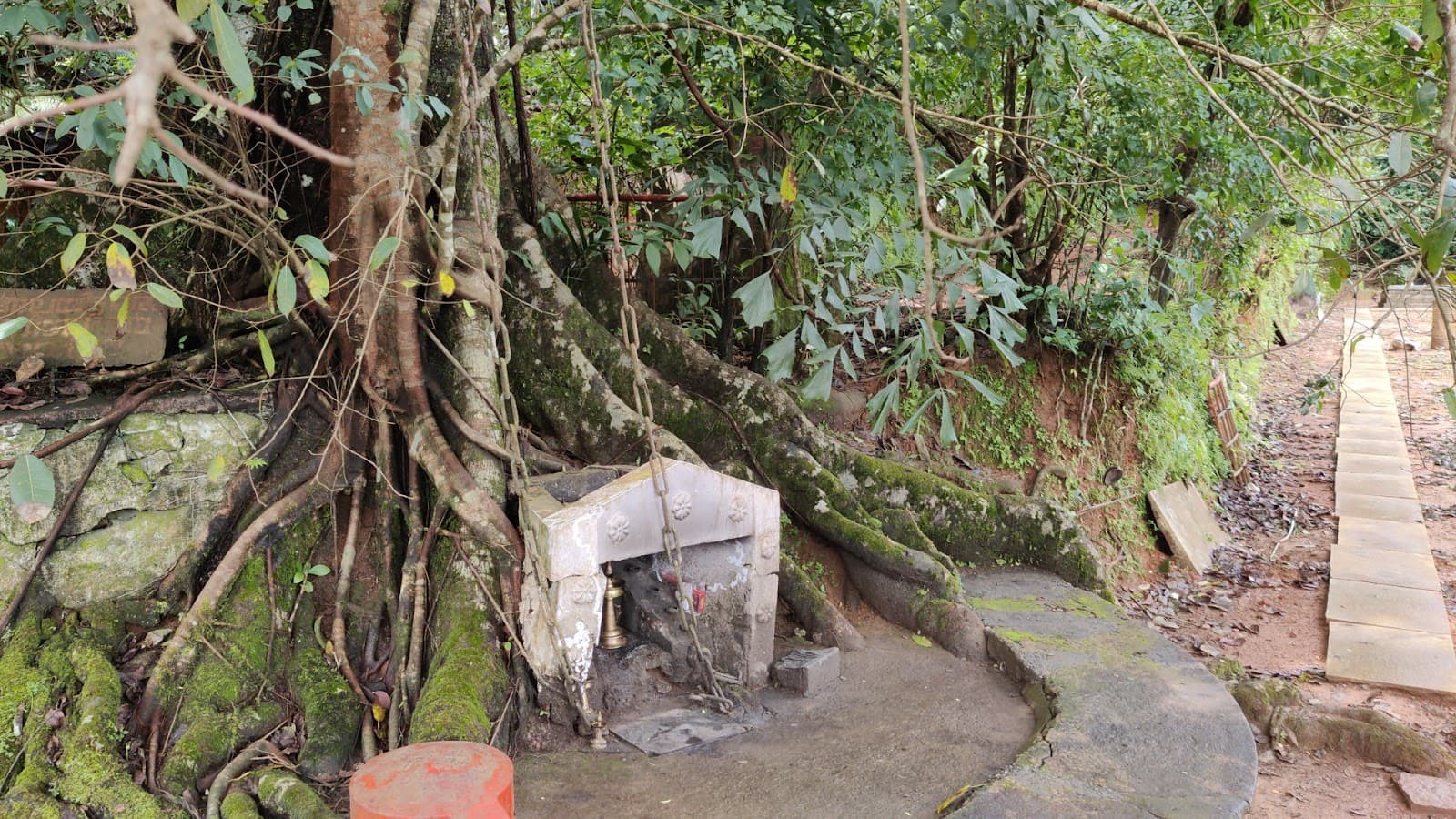 Chain Tree Lakkidi - Image 1