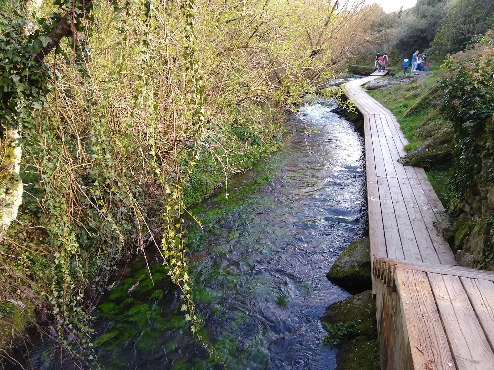 Paseo do Sarela and Mills - Image 1