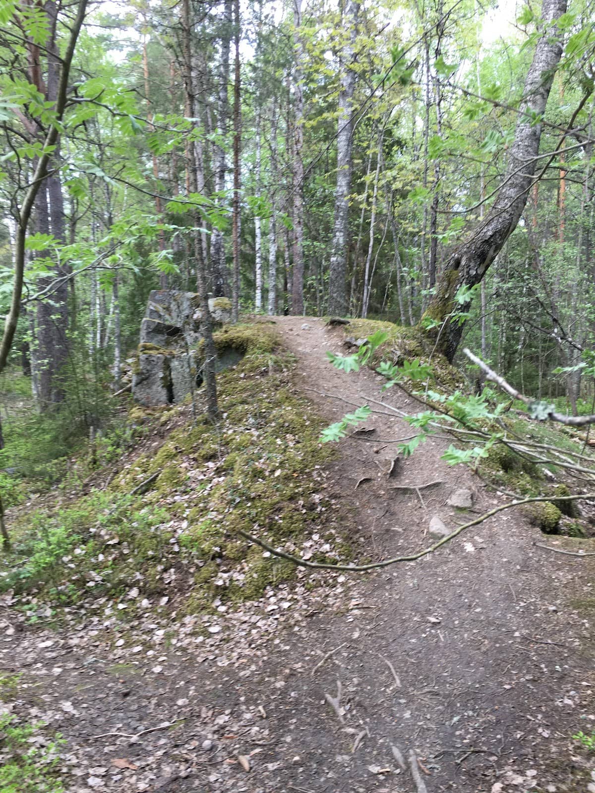 Invigorating Jogging Routes