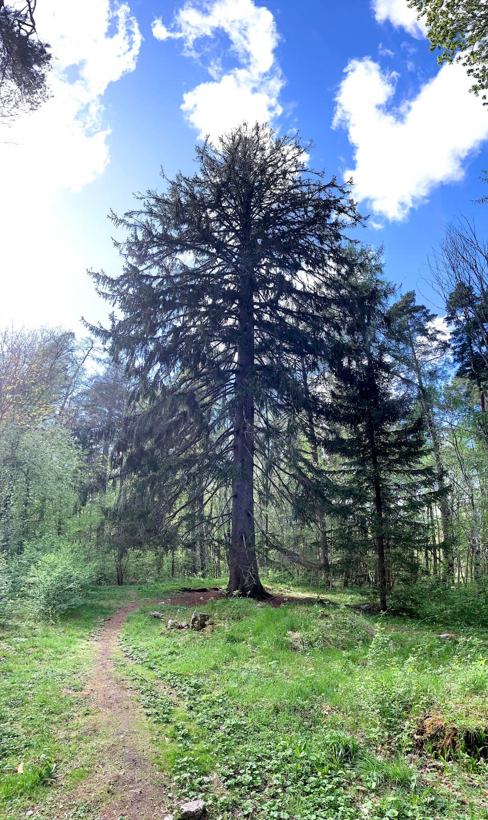 Vertical photo