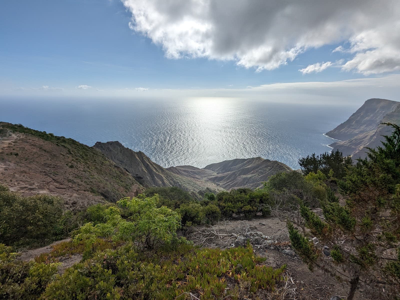 Blue Point - Image 1