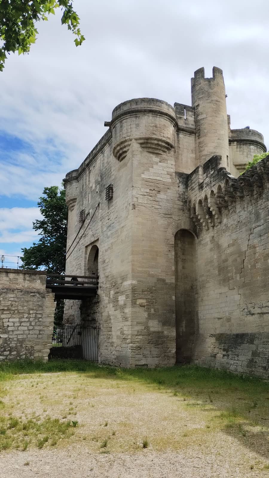 Vertical photo