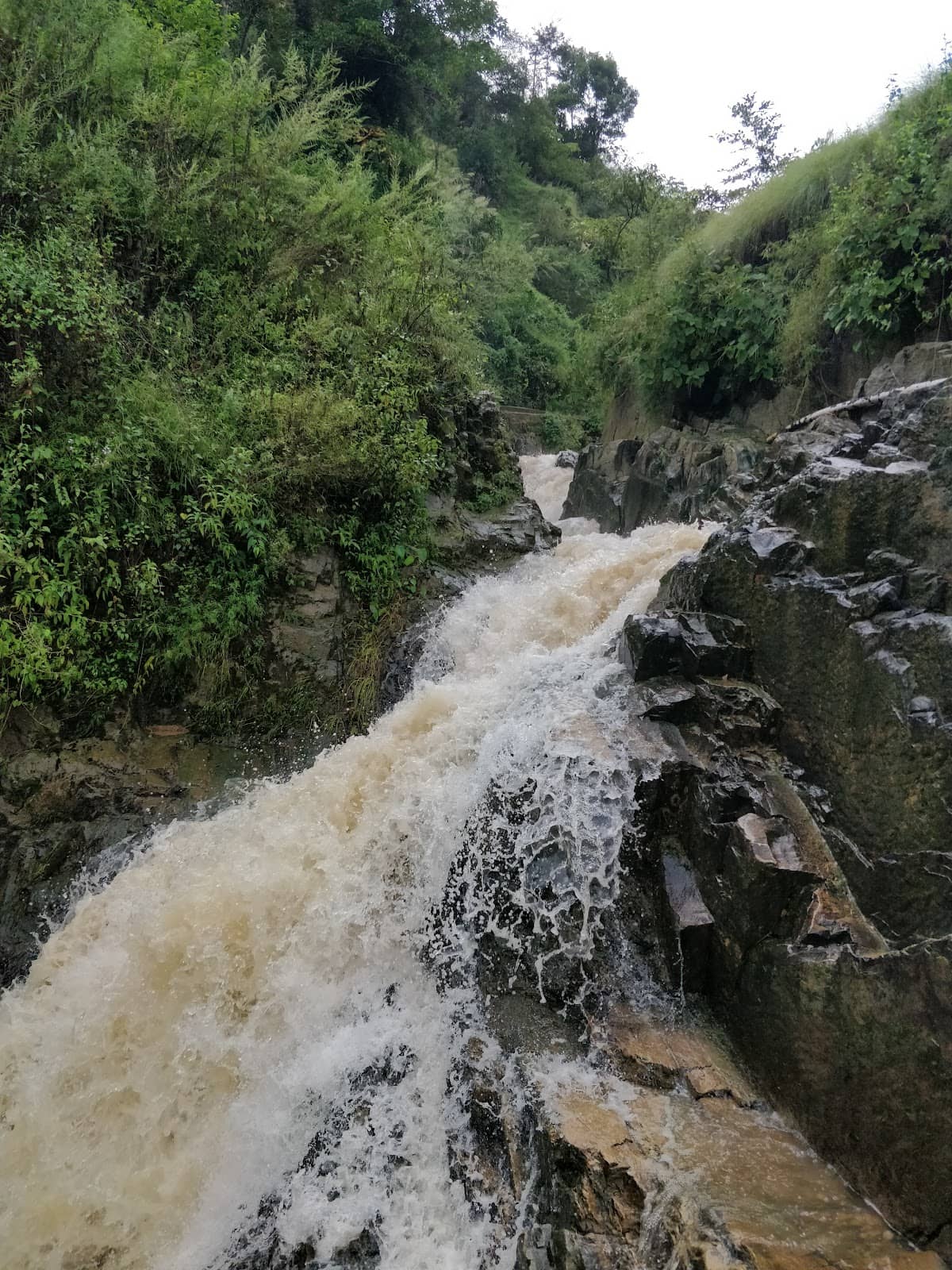Vertical photo