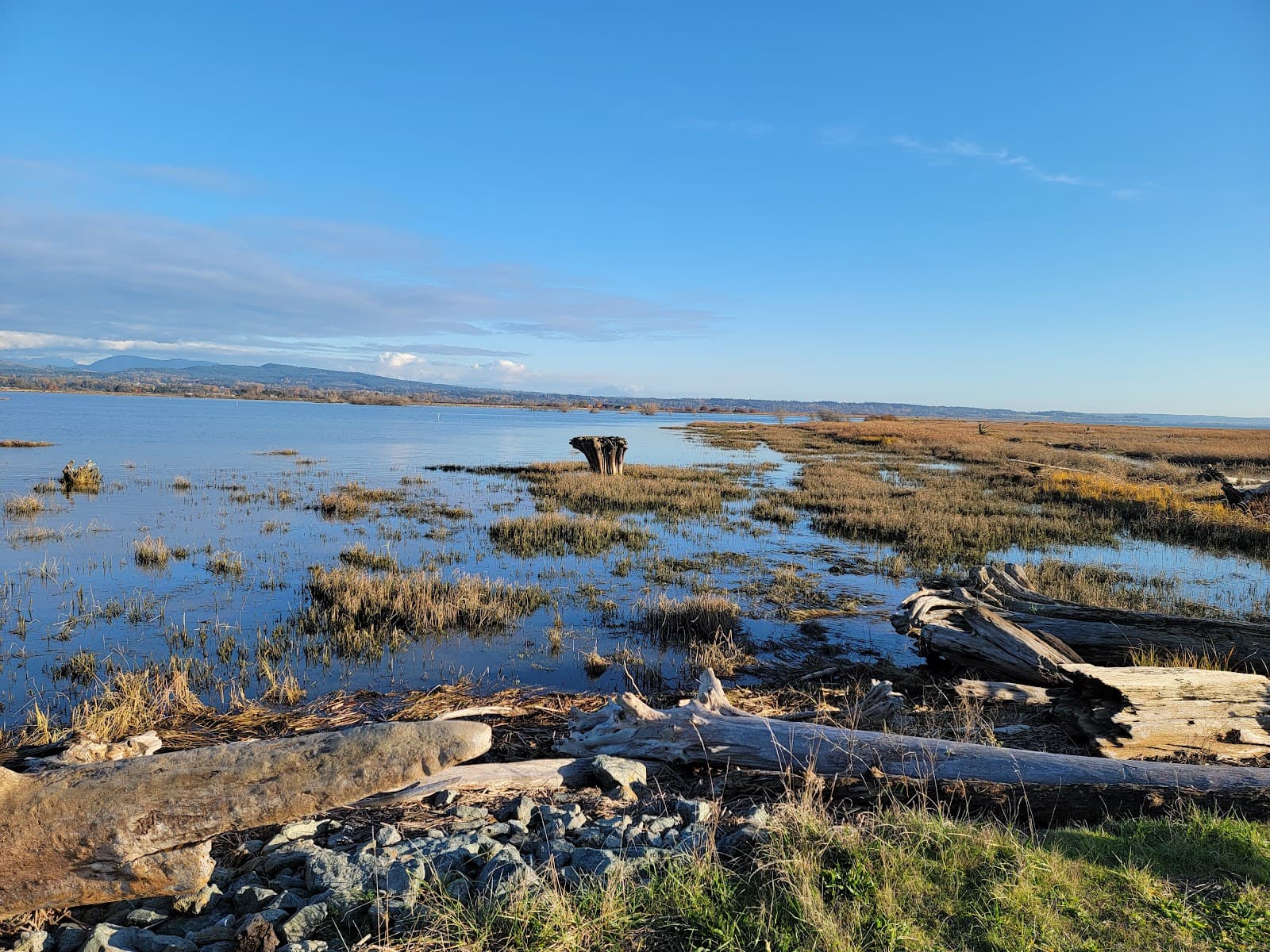 Skagit Wildlife Area – Fir Island - Image 1