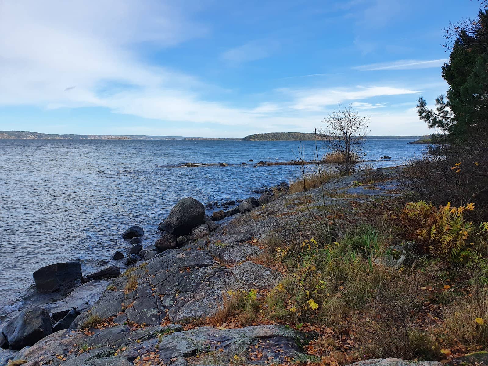 Scenic Barbecue Spots