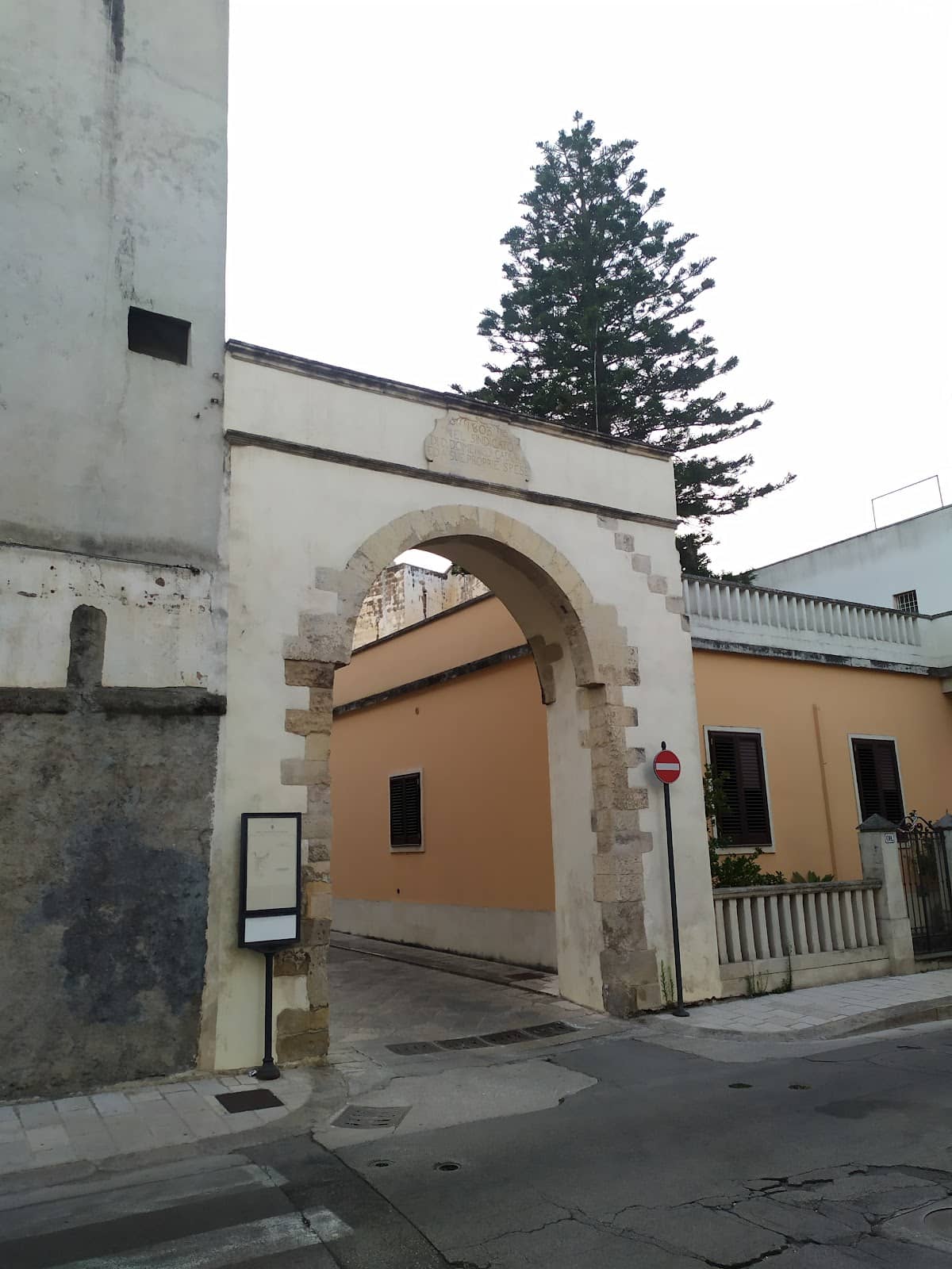 Vertical photo