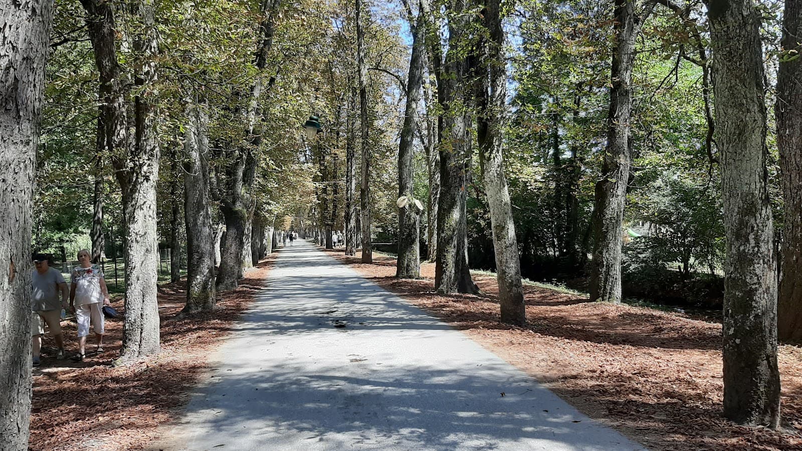 Velika Aleja Ilidza Promenade - Image 1