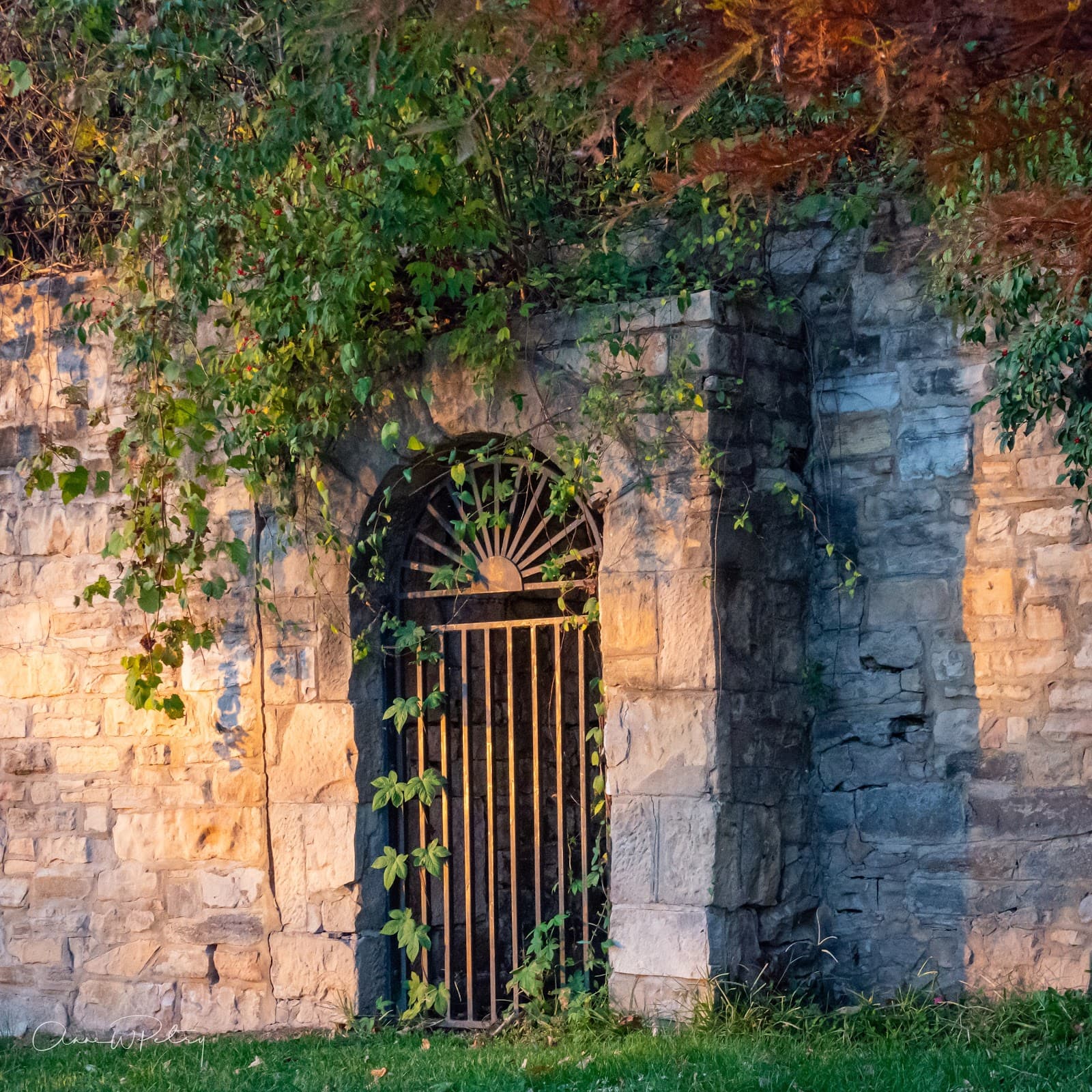 Clifton Terrace Overlook - Image 1