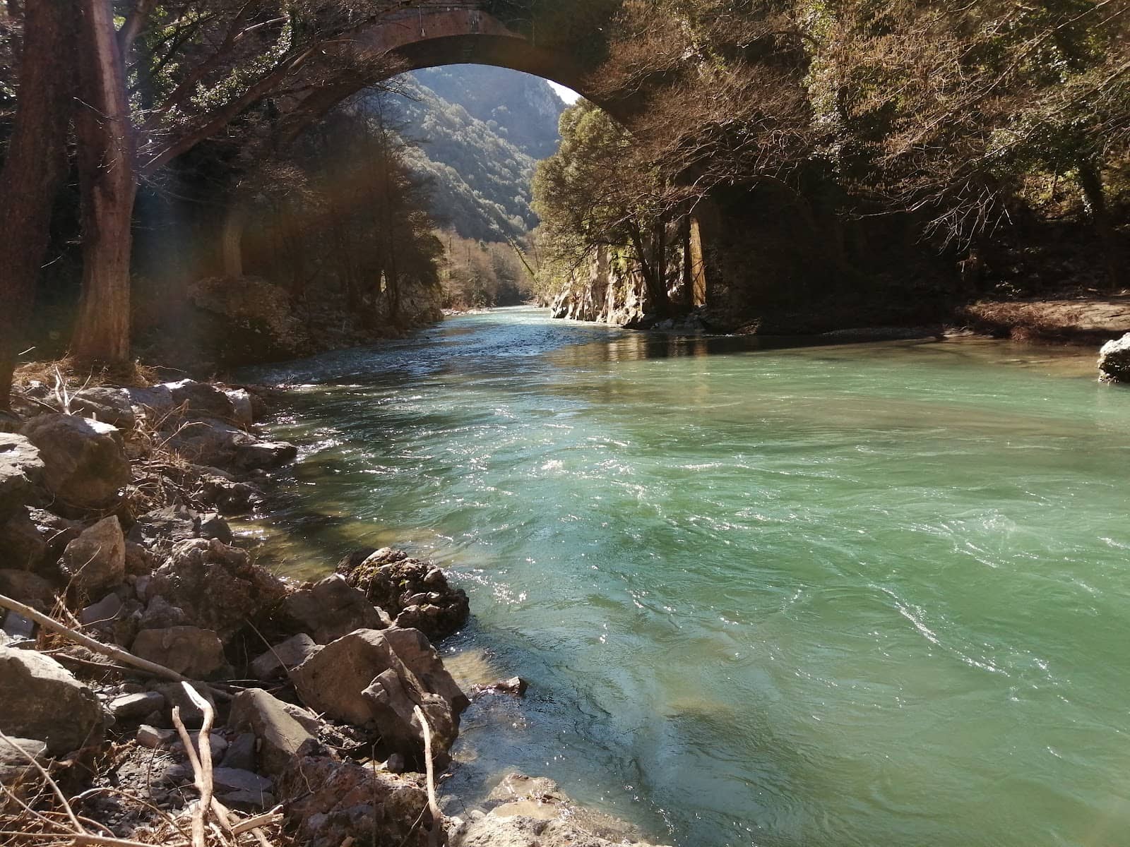 Lush Limestone Gorge