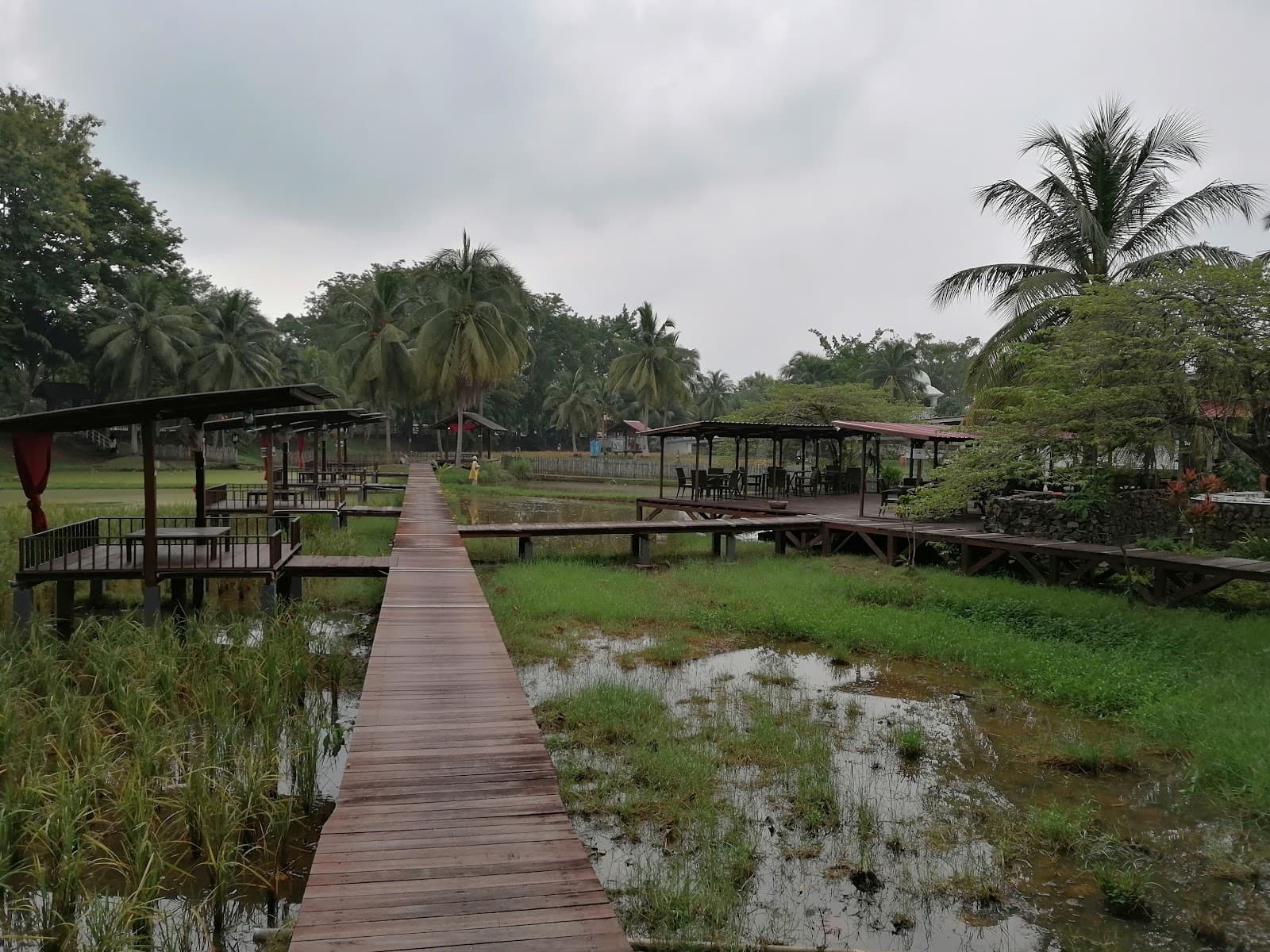 Laman Padi Langkawi - Image 1