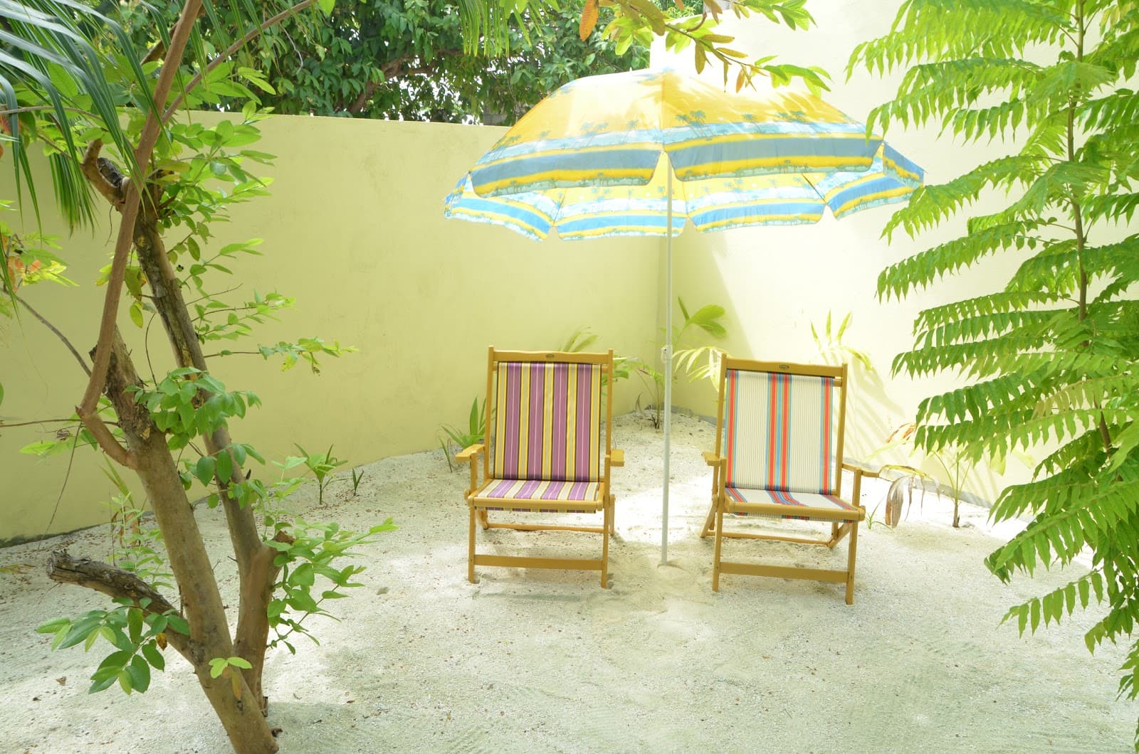 Alimatha House Reef - Image 1