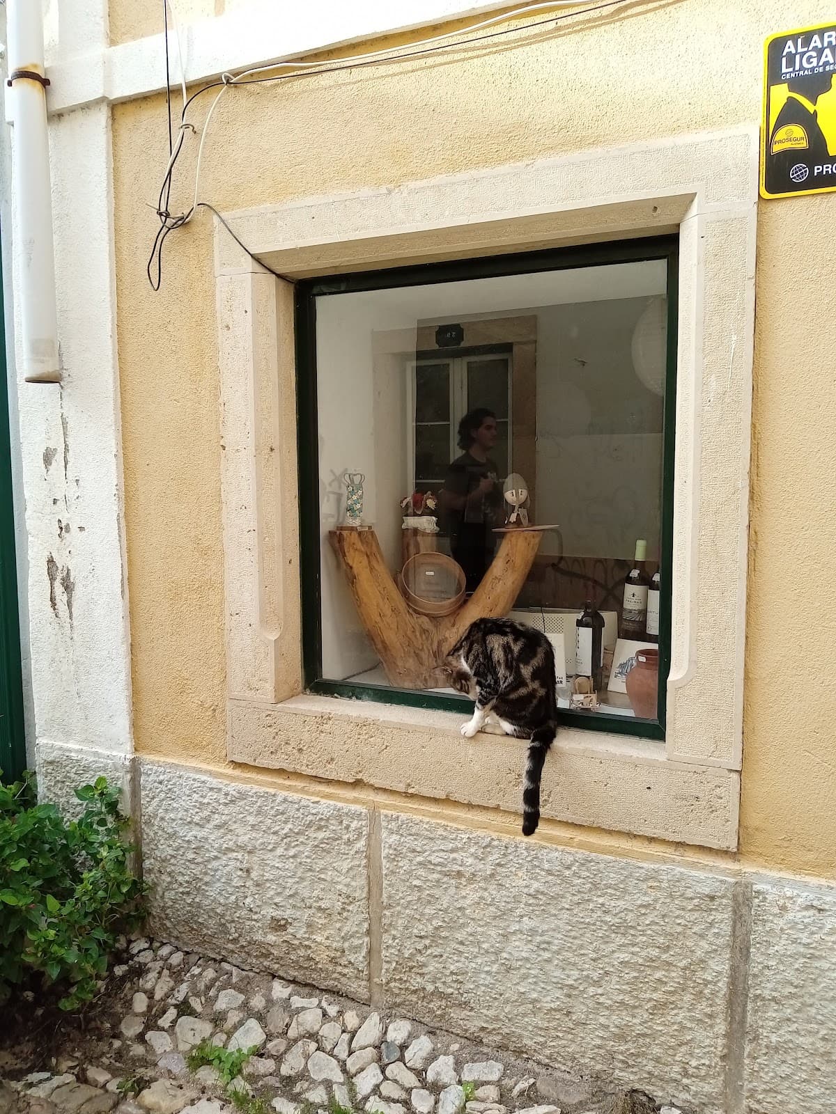 Rua Serpa Pinto Corredoura - Image 1