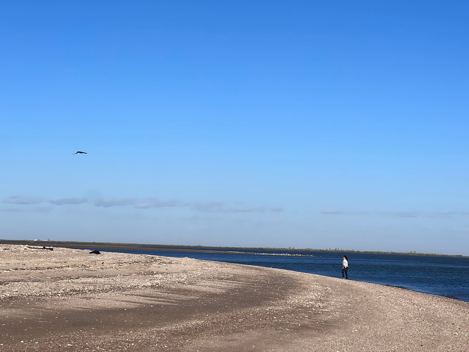 Estero Santa Cruz (Kino Bay) - Image 1