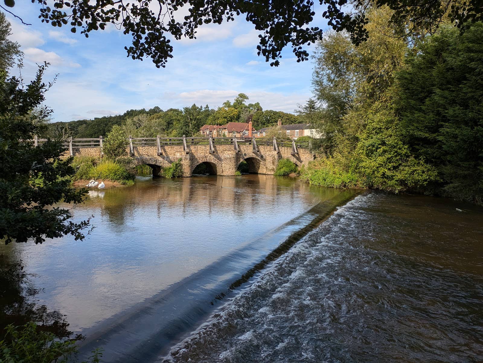Local Pubs